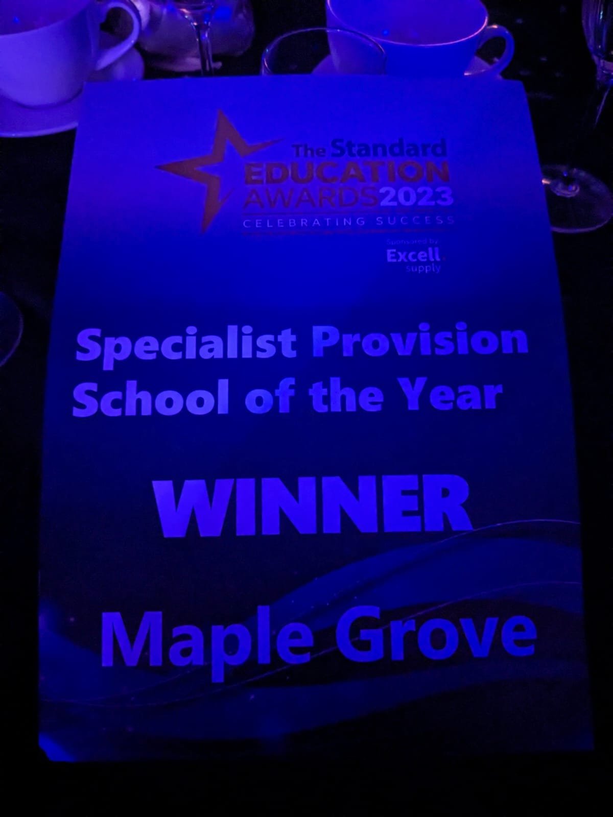 Maple Grove School Wins At The Standard Education Awards Options Autism   Maple Grove Award 